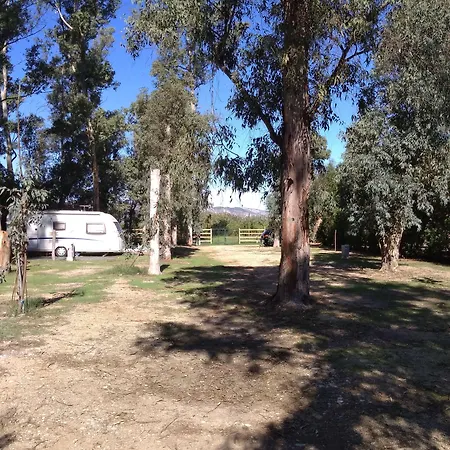 La Naranja * Gandía